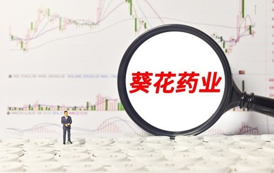 A股:“中藥”概念低估值龍頭公司一覽(附名單)