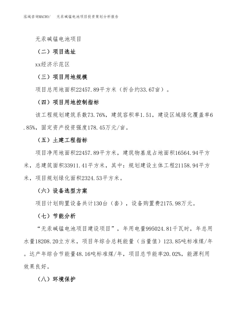 無(wú)汞堿錳電池項(xiàng)目投資策劃分析報(bào)告范文模板.docx